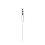 Apple audio cable